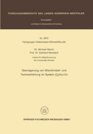 Buch Ueberlagerung Von Mischkristall- Und Teilchenartung Im System (CuAu)-Co Michael Martin