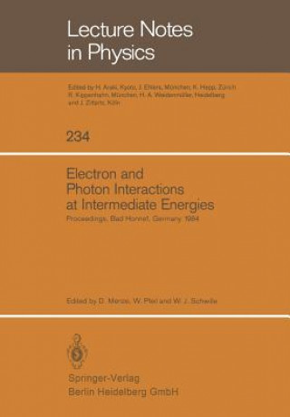 Könyv Electron and Photon Interactions at Intermediate Energies D. Menze