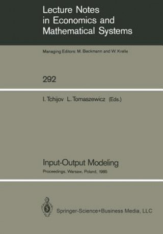Kniha Input-Output Modeling Iouri Tchijov
