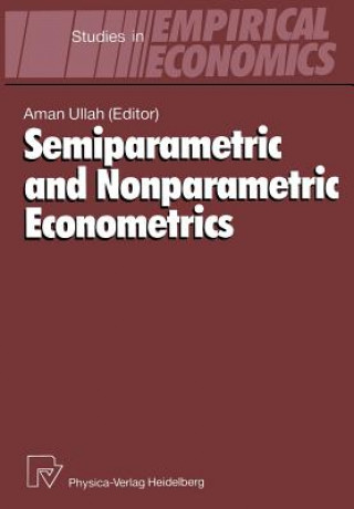 Könyv Semiparametric and Nonparametric Econometrics Aman Ullah