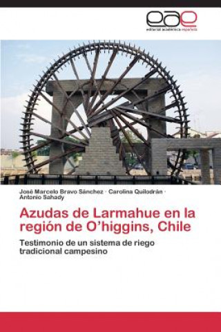 Könyv Azudas de Larmahue en la region de O'higgins, Chile José Marcelo Bravo Sánchez