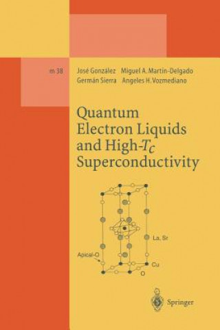 Książka Quantum Electron Liquids and High-Tc Superconductivity Jose Gonzalez