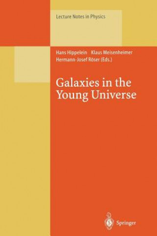 Könyv Galaxies in the Young Universe Hans Hippelein