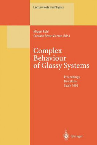 Könyv Complex Behaviour of Glassy Systems Miguel Rubi