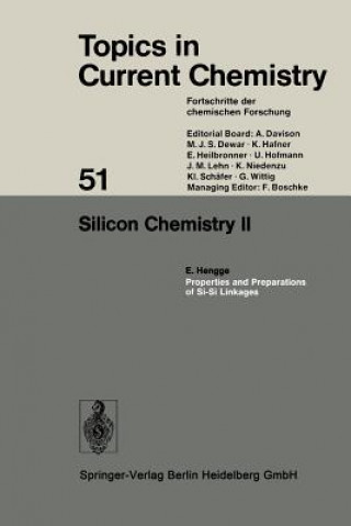 Kniha Silicon Chemistry II Kendall N. Houk