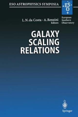 Könyv Galaxy Scaling Relations: Origins, Evolution and Applications, 1 Luiz N. DaCosta