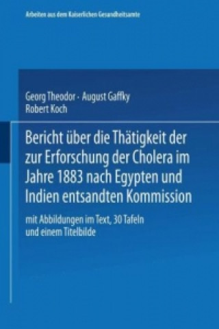 Carte Bericht über die Thätigkeit der zur Erforschung der Cholera im Jahre 1883 nach Egypten und Indien entsandten Kommission Georg Theodor August Gaffky