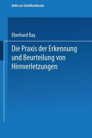 Kniha Praxis Der Erkennung Und Beurteilung Von Hirnverletzungen Eberhard Bay