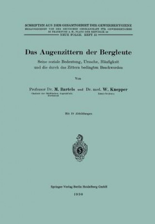 Buch Das Augenzittern Der Bergleute Martin Bartels