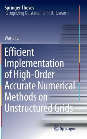 Könyv Efficient Implementation of High-Order Accurate Numerical Methods on Unstructured Grids Wanai Li
