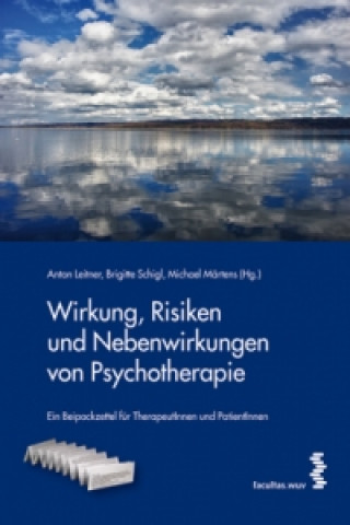 Kniha Wirkung, Risiken und Nebenwirkungen von Psychotherapie Anton Leitner