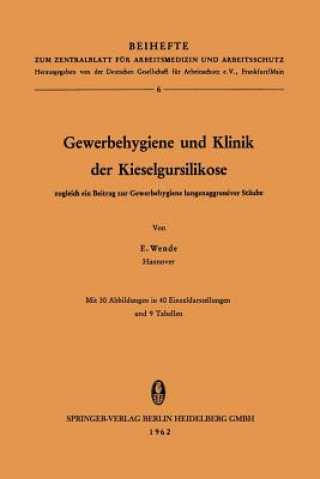 Книга Gewerbehygiene Und Klinik Der Kieselgursilikose Erich Wende