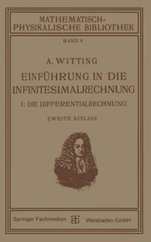 Kniha Einfuhrung in Die Infinitesimalrechnung Alexander Witting