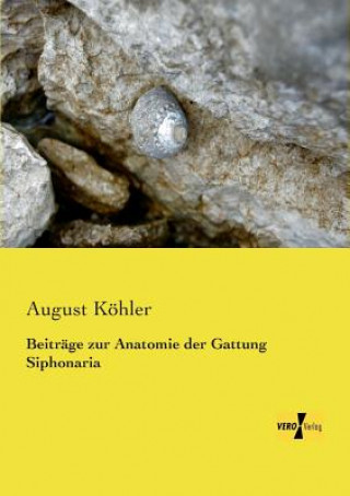 Kniha Beitrage zur Anatomie der Gattung Siphonaria August Köhler