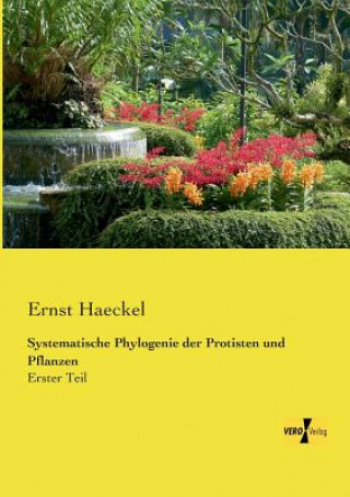 Livre Systematische Phylogenie der Protisten und Pflanzen Ernst Haeckel