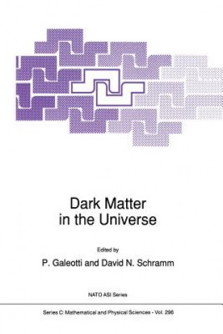 Carte Dark Matter in the Universe, 1 P. Galeotti