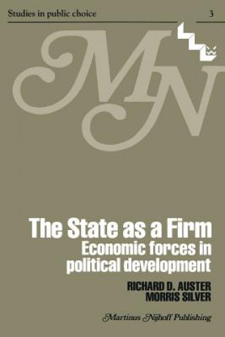 Könyv State as a Firm R.D. Auster