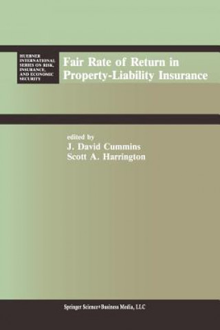 Kniha Fair Rate of Return in Property-Liability Insurance J. David Cummins