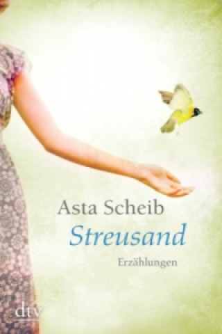 Kniha Streusand Asta Scheib