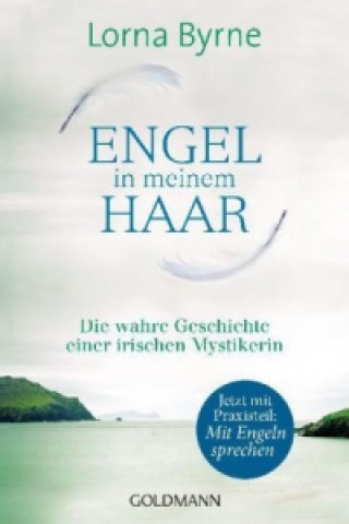 Buch Engel in meinem Haar Lorna Byrne