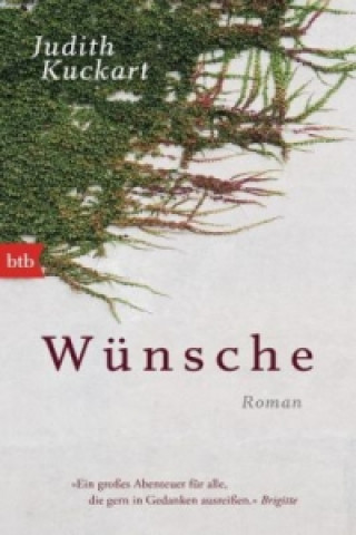 Kniha Wunsche Judith Kuckart