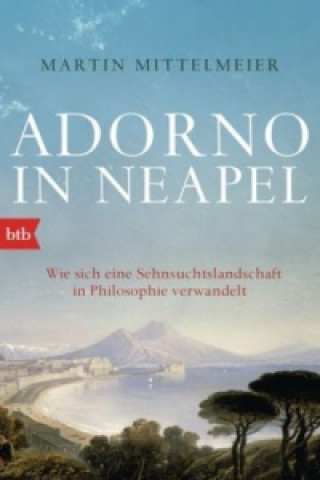 Книга Adorno in Neapel Martin Mittelmeier