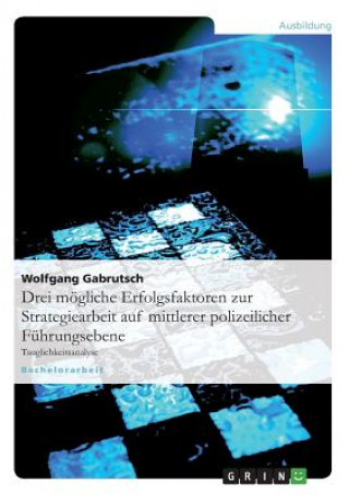 Könyv Drei moegliche Erfolgsfaktoren zur Strategiearbeit auf mittlerer polizeilicher Fuhrungsebene Wolfgang Gabrutsch