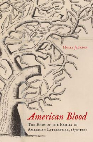 Könyv American Blood Holly Jackson