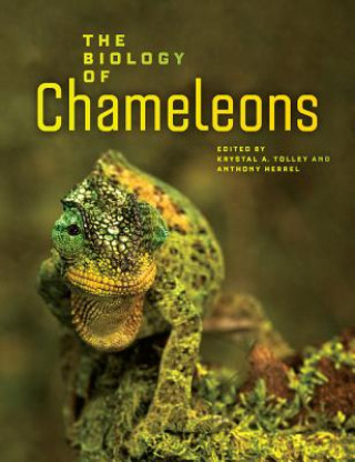 Könyv Biology of Chameleons Krystal Tolley