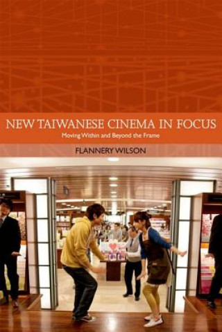 Könyv New Taiwanese Cinema in Focus Flannery Wilson