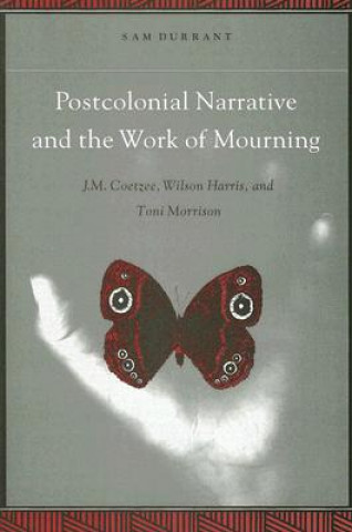 Könyv Postcolonial Narrative and the Work of Mourning Sam Durrant