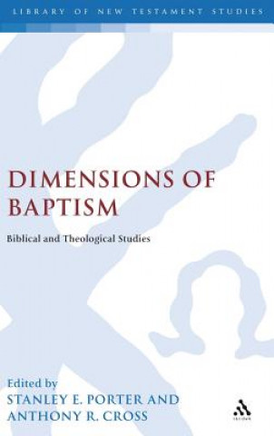 Könyv Dimensions of Baptism Stanley E. Porter