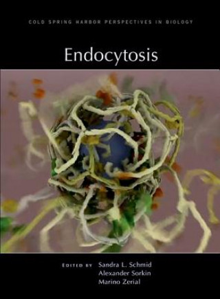 Книга Endocytosis Sandra L Schmid