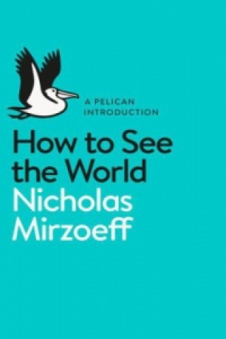 Kniha How to See the World Nicholas Mirzoeff