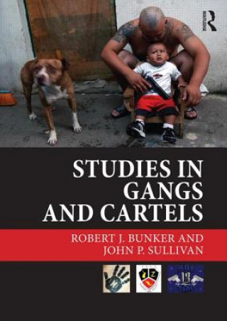 Βιβλίο Studies in Gangs and Cartels Bunker