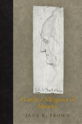 Könyv Goethe's Allegories of Identity Jane K. Brown