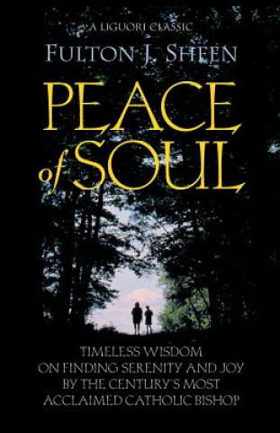Kniha Peace of Soul Fulton J. Sheen