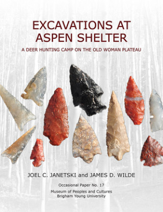 Kniha Excavations at Aspen Shelter Joel C Janetski