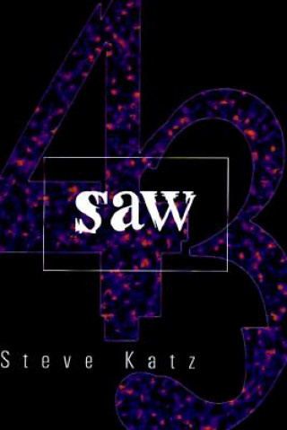 Könyv Saw Steve Katz