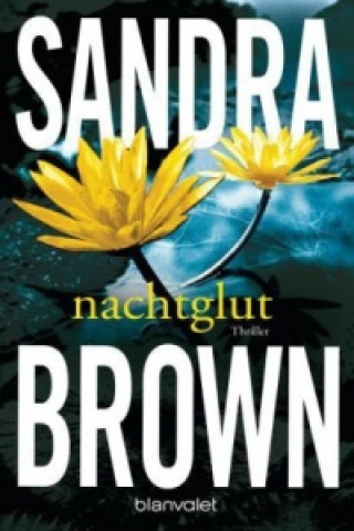 Kniha Nachtglut Sandra Brown