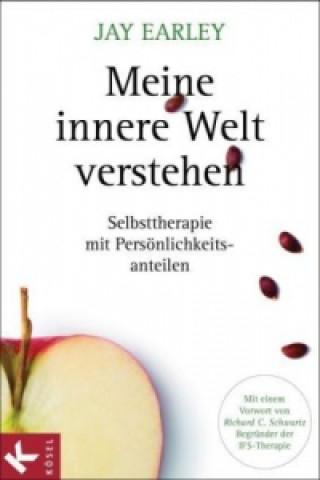 Книга Meine innere Welt verstehen Jay Earley