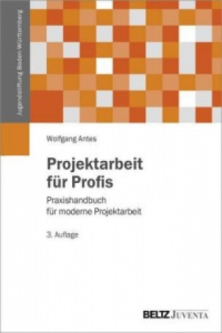 Kniha Projektarbeit für Profis Wolfgang Antes