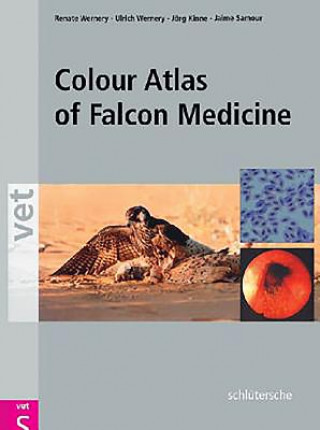 Carte Colour Atlas of Falcon Medicine Ulrich Wernery