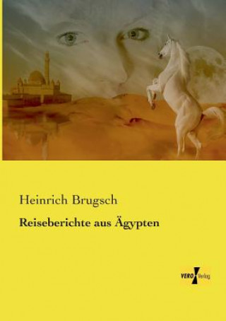 Carte Reiseberichte aus AEgypten Heinrich Brugsch