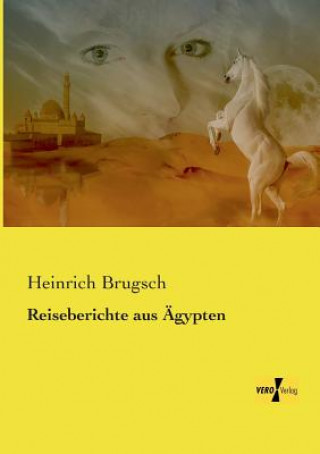 Kniha Reiseberichte aus AEgypten Heinrich Brugsch