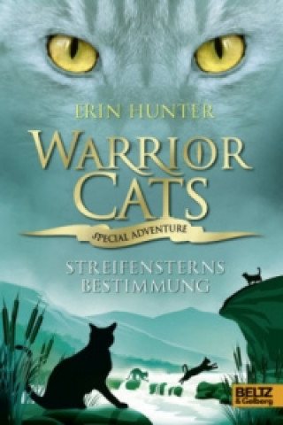 Kniha Warrior Cats, Special Adventure, Streifensterns Bestimmung Erin Hunter