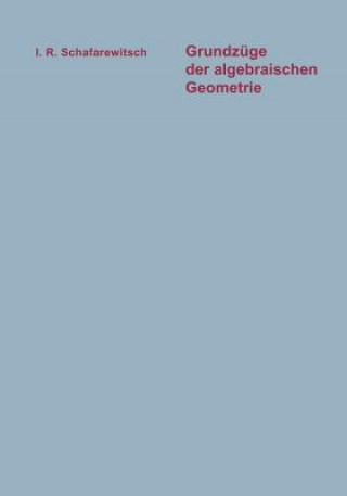 Buch Grundzüge der algebraischen Geometrie Igor R. Schafarewitsch