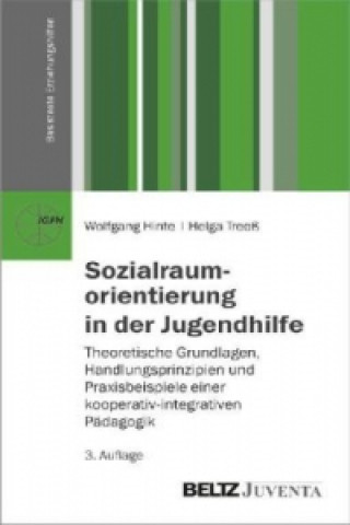Kniha Sozialraumorientierung in der Jugendhilfe Wolfgang Hinte