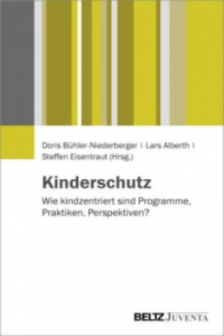 Buch Kinderschutz Doris Bühler-Niederberger