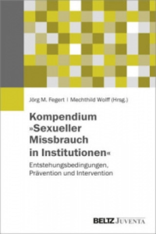 Kniha Kompendium "Sexueller Missbrauch in Institutionen" Jörg M. Fegert